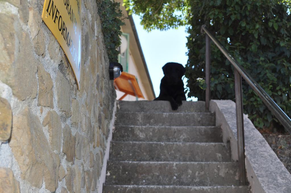 הוילה סקרלינו Agriturismo Il Cerrosughero מראה חיצוני תמונה