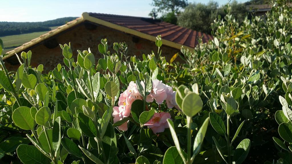 הוילה סקרלינו Agriturismo Il Cerrosughero מראה חיצוני תמונה